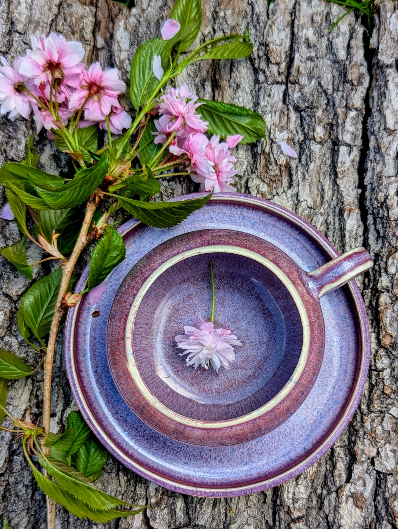 filiżanka z talerzykiem